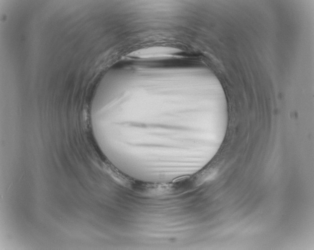 X0000070830288200607142349