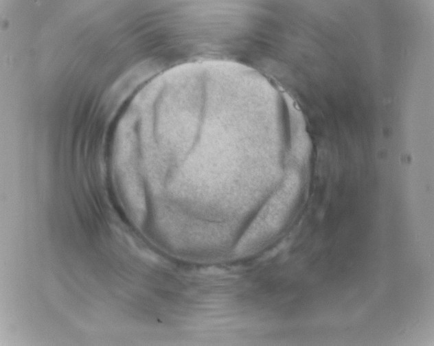 X0000070830290200607142348