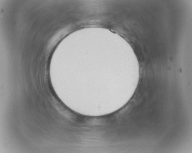 X0000070830293200607142348