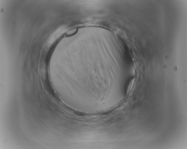 X0000070830295200607142348