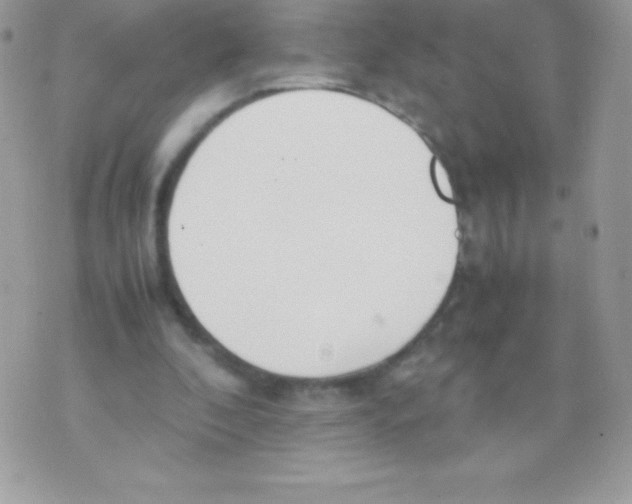 X0000070830296200607142348