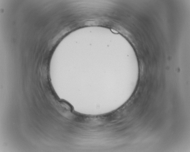 X0000070830297200607142348