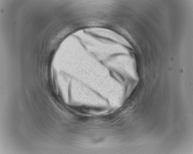 X0000070830299200607142348