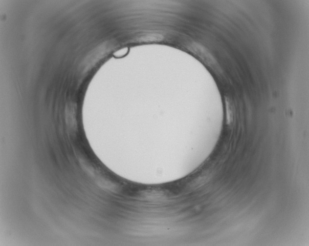 X0000070830300200607142348