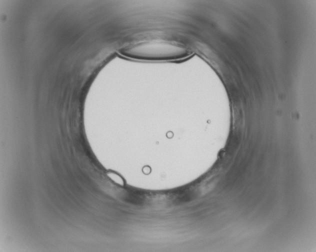 X0000070830301200607142348