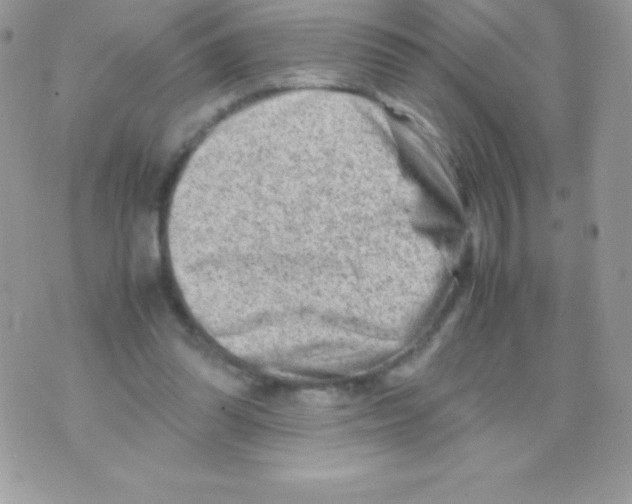 X0000070830302200607142348