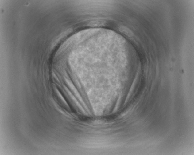 X0000070830303200607142348