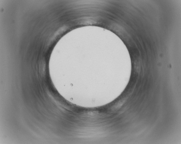 X0000070830304200607142347