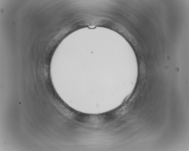 X0000070830305200607142347