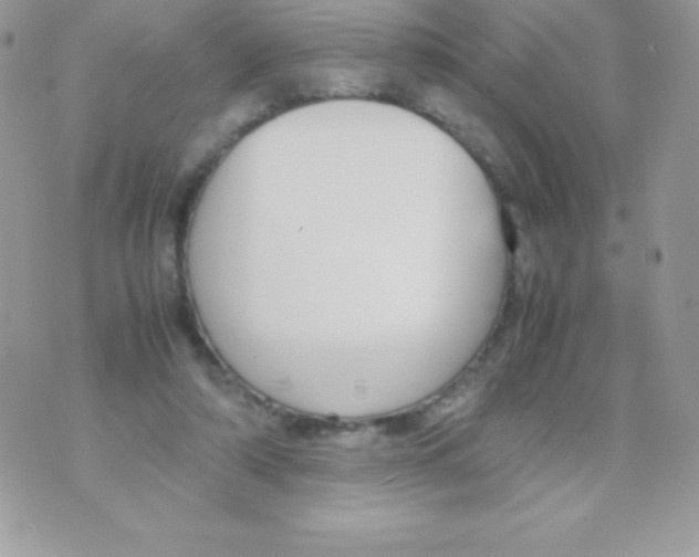 X0000070830306200607142347