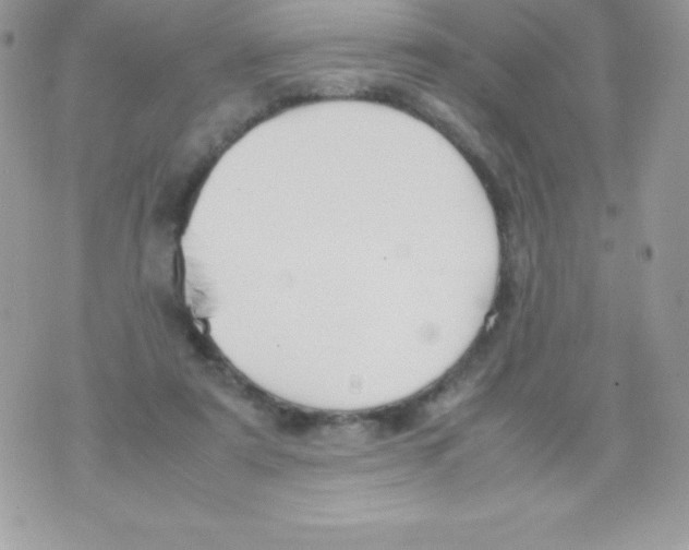 X0000070830307200607142347