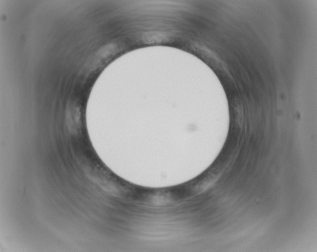 X0000070830308200607142347