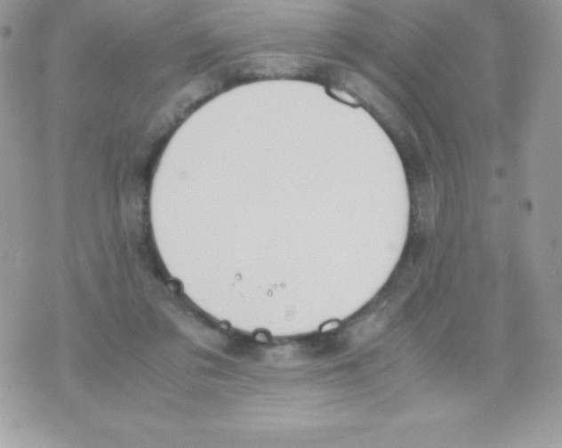 X0000070830309200607142347