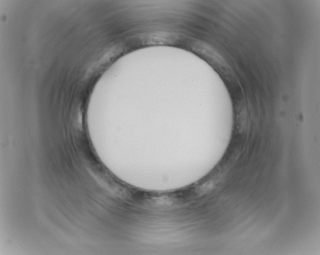 X0000070830310200607142347