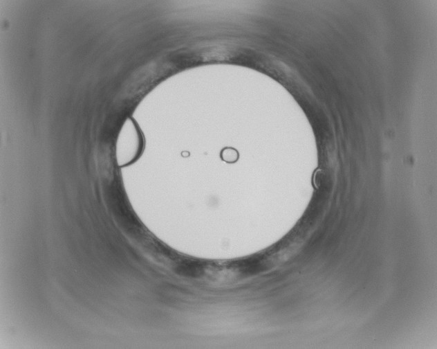 X0000070830311200607142347