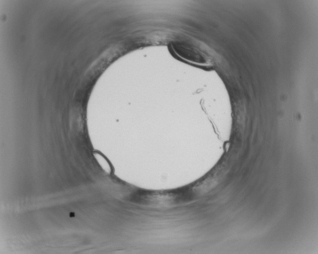 X0000070830313200607142347