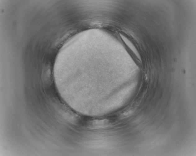 X0000070830314200607142347