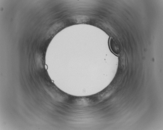 X0000070830316200607142347