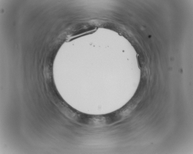 X0000070830317200607142347