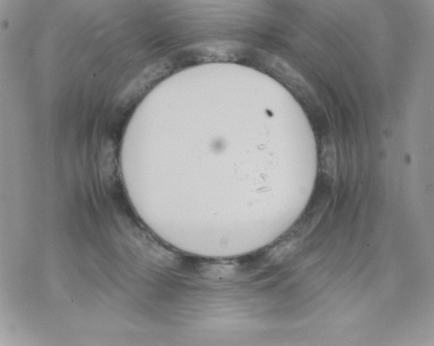 X0000070830318200607142347