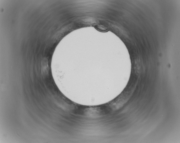 X0000070830320200607142347