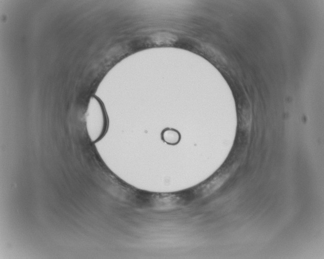 X0000070830321200607142347