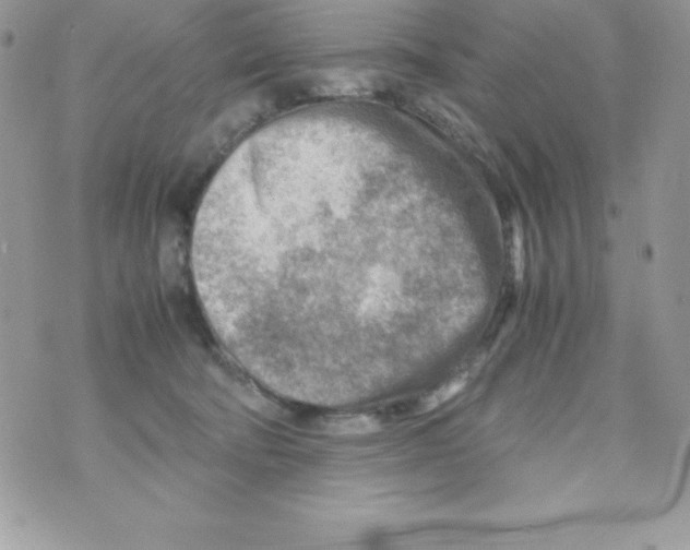 X0000070830322200607142347