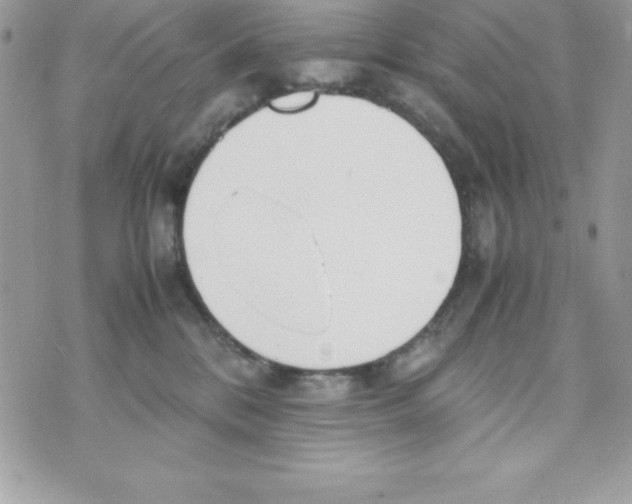 X0000070830328200607142347