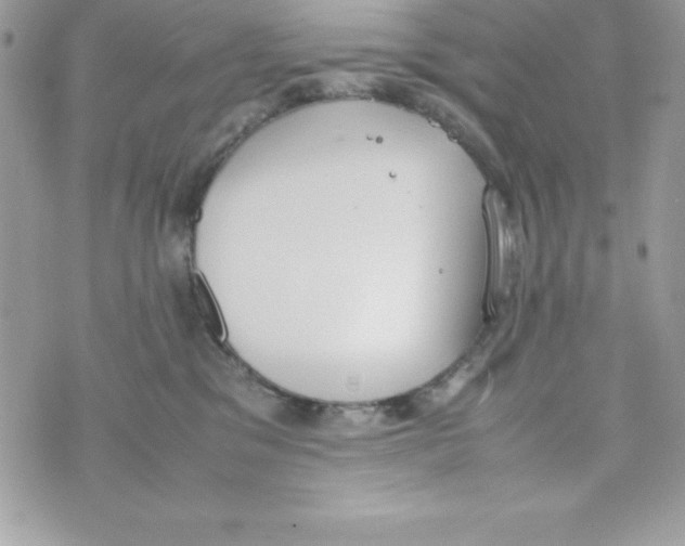 X0000070830329200607142347