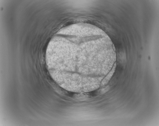 X0000070830331200607142347