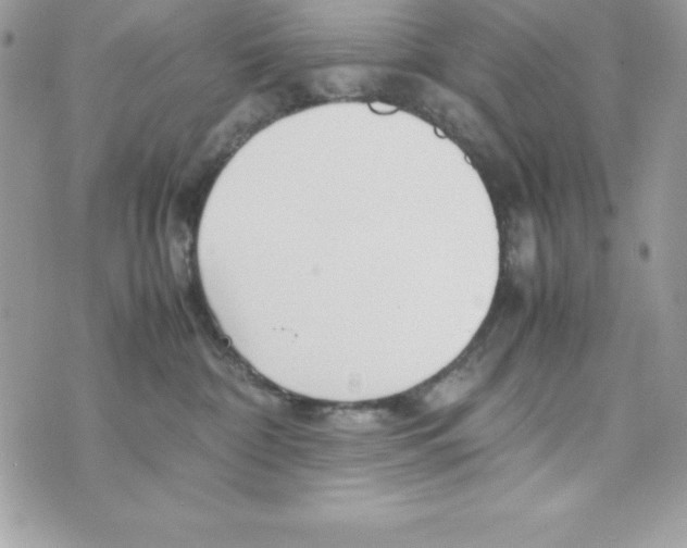 X0000070830332200607142347