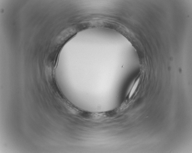 X0000070830333200607142347