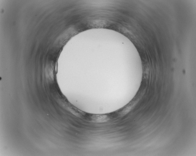 X0000070830334200607142347