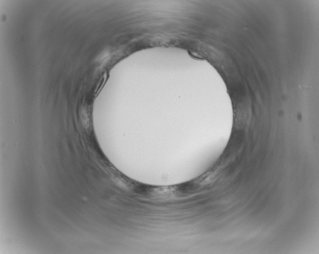 X0000070830335200607142347