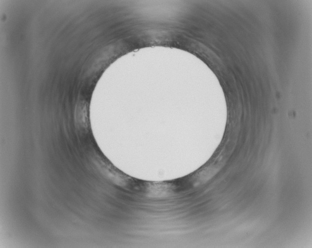 X0000070830336200607142347