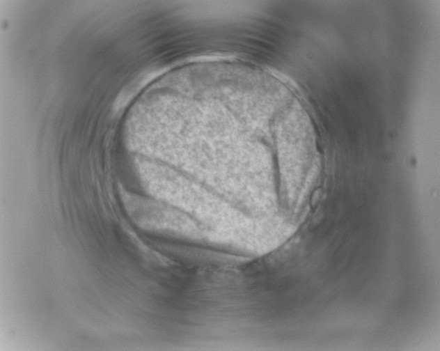 X0000070830337200607142346