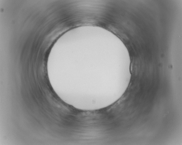 X0000070830338200607142346