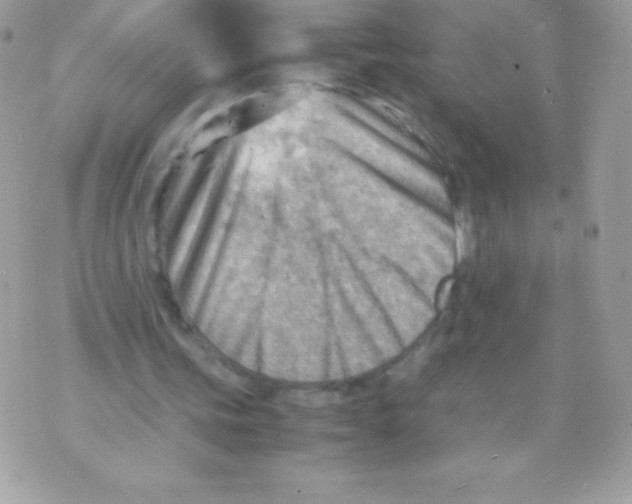 X0000070830339200607142346