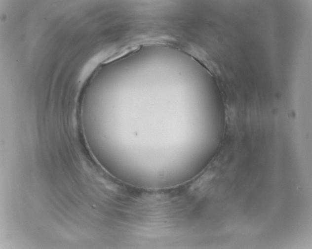 X0000070830340200607142346