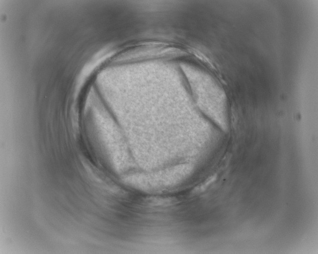 X0000070830343200607142346