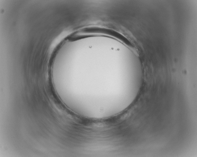 X0000070830344200607142346