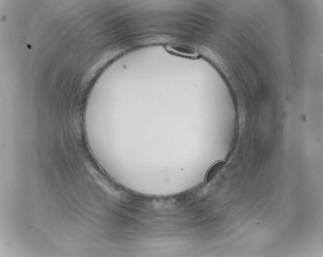 X0000070830345200607142346