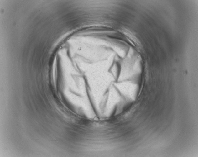 X0000070830346200607142346