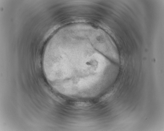 X0000070830347200607142346