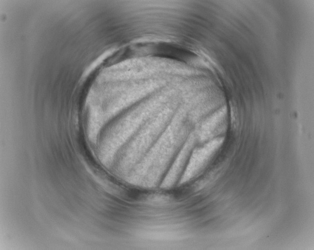 X0000070830348200607142346