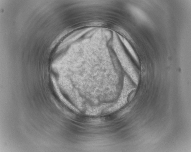 X0000070830349200607142346