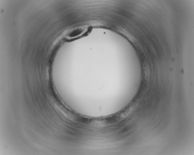 X0000070830350200607142346