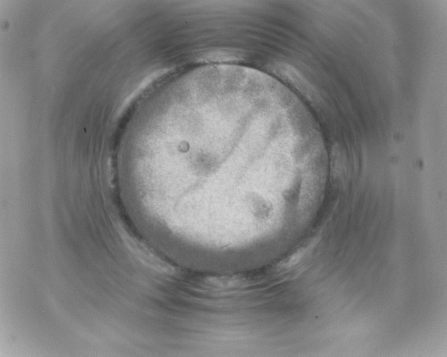 X0000070830351200607142346