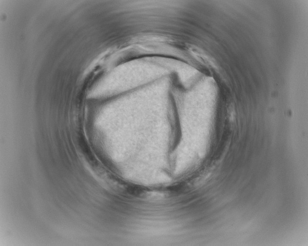 X0000070830352200607142346