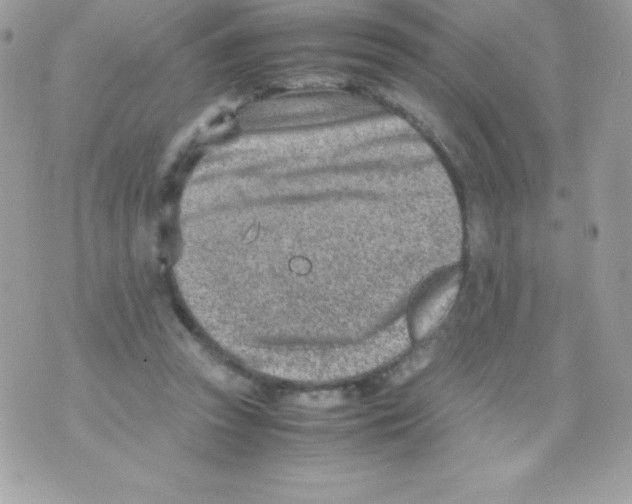 X0000070830353200607142346